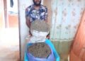 A man stands beside bags of marijuana following his arrest by the Liberia Drug Enforcement Agency (LDEA) in River Cess County, leading to a 15-year prison sentence