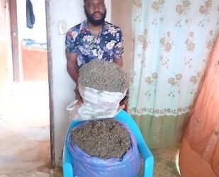 A man stands beside bags of marijuana following his arrest by the Liberia Drug Enforcement Agency (LDEA) in River Cess County, leading to a 15-year prison sentence