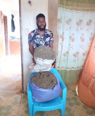 A man stands beside bags of marijuana following his arrest by the Liberia Drug Enforcement Agency (LDEA) in River Cess County, leading to a 15-year prison sentence
