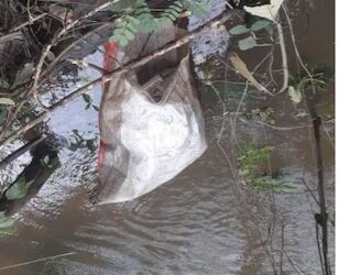 A plastic bag floats in the Wea River where the body of a 14-year-old girl was found, as the search for her missing cousin continues in Weala, Margibi County.
