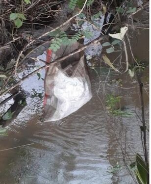 A plastic bag floats in the Wea River where the body of a 14-year-old girl was found, as the search for her missing cousin continues in Weala, Margibi County.