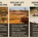Images showing farmland destruction, open mining pits, and polluted rivers in Liberia — highlighting the environmental damage caused by unregulated mining activities