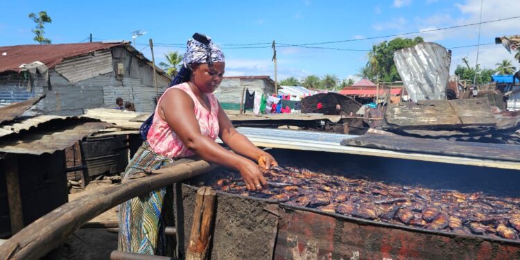 A Liberian woman fishmonger in Marshall, Margibi County, prepares smoked fish as part of a World Bank–funded empowerment project for coastal women traders