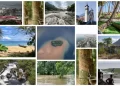 A collage showcasing Liberia’s tourism attractions including beaches, waterfalls, churches, forests, surfing, and scenic landscapes highlighting the country’s untapped tourism potentia