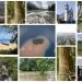 A collage showcasing Liberia’s tourism attractions including beaches, waterfalls, churches, forests, surfing, and scenic landscapes highlighting the country’s untapped tourism potentia