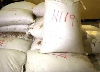 Bags of Toukpeh Cooperative rice damaged by pests inside MOA warehouse in Harper, Maryland County