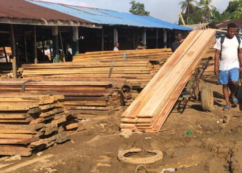 Workers unload and arrange planks at a Paynesville lumber yard amid concerns about harsh working conditions and foreign market dominance.