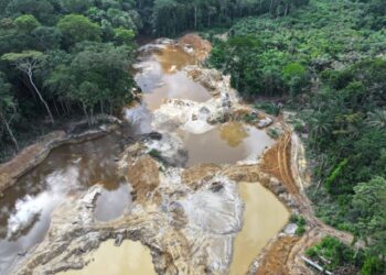 Limited support weakens enforcement and threatens Liberia's National Parks