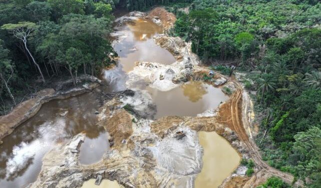 Limited support weakens enforcement and threatens Liberia's National Parks