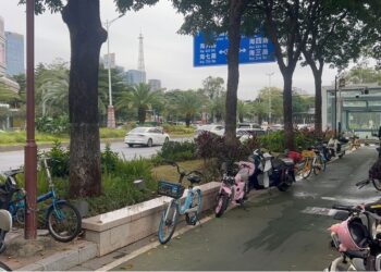 Urban street in Guangzhou, China, with bicycles, trees and pedestrian spaces — captured by B. Garmondyu Zogar (2025).