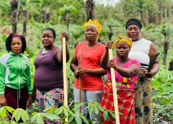 Rural women farmers in Liberia stand in their cassava field, symbolizing community leadership ahead of the 2025 National People’s Climate Justice Summit.