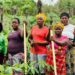 Rural women farmers in Liberia stand in their cassava field, symbolizing community leadership ahead of the 2025 National People’s Climate Justice Summit.