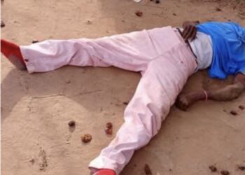 Man, 40, dies after falling from palm tree