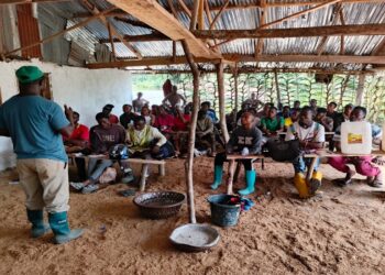 Trainer Jacob B. Dennis instructs youth trainees during a hands-on agriculture session at the Youth International Training Institute farm near Gbarnga.