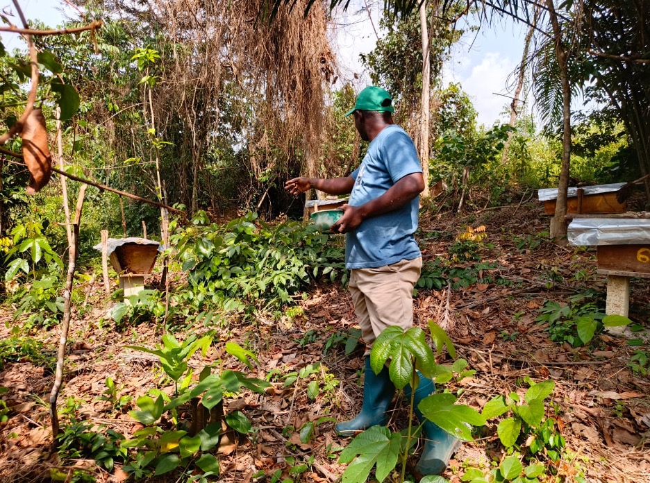 Trainer Jacob B. Dennis instructs youth trainees during a hands-on agriculture session at the Youth International Training Institute farm near Gbarnga.