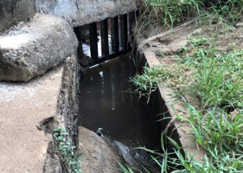 Drainage channel in Morris Farm community where residents suspect industrial discharge from nearby brewery operations