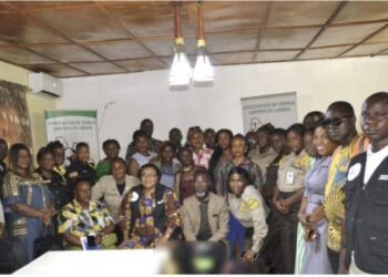 AFELL, Partners Train Law Enforcement on Domestic Violence Act Amid Rising SGBV Cases