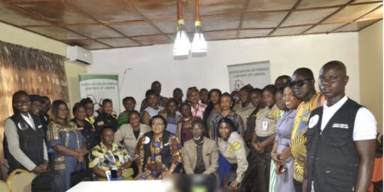AFELL, Partners Train Law Enforcement on Domestic Violence Act Amid Rising SGBV Cases
