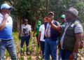 Agriculture Minister Alexander Nuetah visiting a farm during a tour promoting coconut seed garden projects in southeastern Liberia.