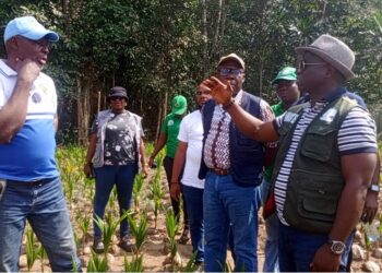 Agriculture Minister Alexander Nuetah visiting a farm during a tour promoting coconut seed garden projects in southeastern Liberia.