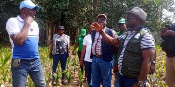 Agriculture Minister Alexander Nuetah visiting a farm during a tour promoting coconut seed garden projects in southeastern Liberia.
