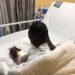 Kidney patient receiving treatment amid fundraising controversy in Liberia.