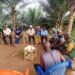 Agriculture Minister Alexander Nuetah engaging farmers during Southeast Liberia agricultural tour.