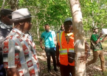 Liberia Agriculture Minister Alexander Nuetah tours rubber plantation at Liberia Agriculture Company during community visit.