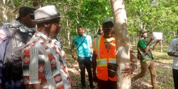 Liberia Agriculture Minister Alexander Nuetah tours rubber plantation at Liberia Agriculture Company during community visit.