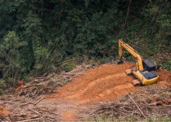 Excavator clearing land at mining site in Liberia forest area