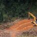 Excavator clearing land at mining site in Liberia forest area