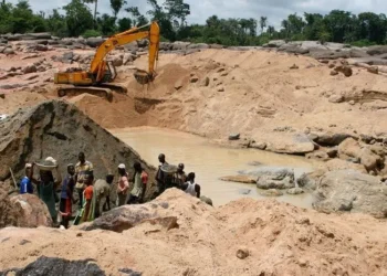 IWL Report Reveals Illegal Mining