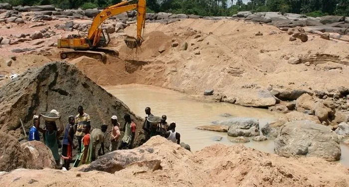 IWL Report Reveals Illegal Mining