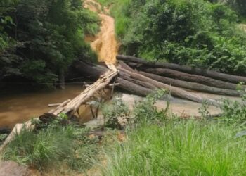 Damaged wooden bridge and poor road conditions in Kongba District highlighting infrastructure neglect in Gbarpolu County