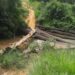Damaged wooden bridge and poor road conditions in Kongba District highlighting infrastructure neglect in Gbarpolu County