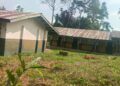 Dilapidated classrooms at Suasu Public School with damaged roof and overgrown compound
