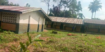 Dilapidated classrooms at Suasu Public School with damaged roof and overgrown compound