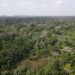 Konobo Community Forest in Grand Gedeh showing deforestation linked to cocoa farming in Liberia