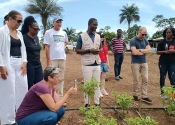 Dukuly Farm Emerges As Agricultural Hub, Draws Eu Praise In Bomi