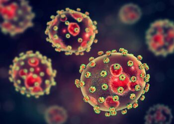 lassa fever