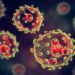 lassa fever