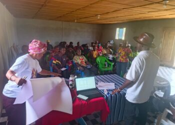 Farmers participate in hands-on vegetable production training at Sankofa Farm in Bong County, Liberia