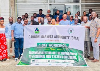Stakeholders at Liberia MRV workshop discussing national carbon market framework