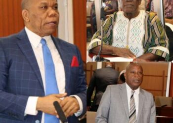 Senators Put Local Govt Minister in Check