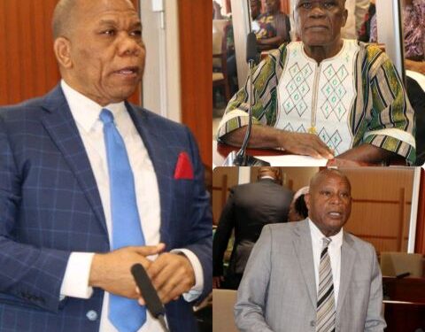 Senators Put Local Govt Minister in Check