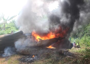 A massive fallen tree blocks a rural road in Bomi County, cutting off communities from healthcare and essential services.