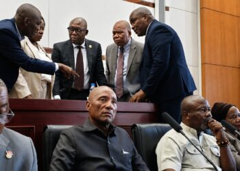 Liberian lawmakers during the Senate hearing on the EU Deforestation Regulation.