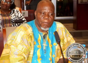 River Cess Senator Bill Twehway speaks during a Senate session on electoral reform in Liberia.
