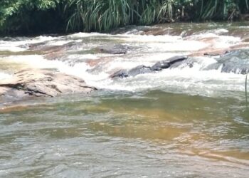 Police investigators at the Wea River in Weala, Margibi County, where the decomposed body of an unidentified woman was discovered.