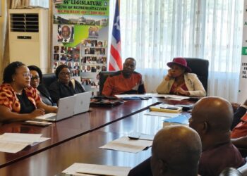 AFELL officials engage members of the House of Representatives on the proposed Women and Girls Protection Bill.